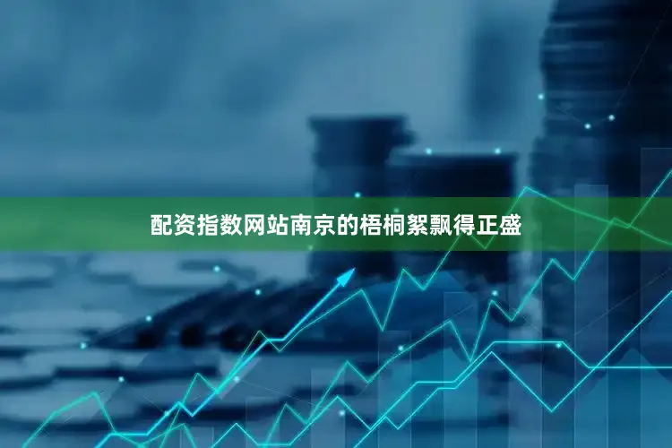 配资指数网站南京的梧桐絮飘得正盛