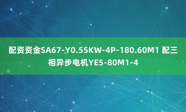 配资资金SA67-Y0.55KW-4P-180.60M1 配三相异步电机YE5-80M1-4
