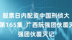 股票日内配资中国刑侦大案 第165集_广西阮强团伙覆灭记