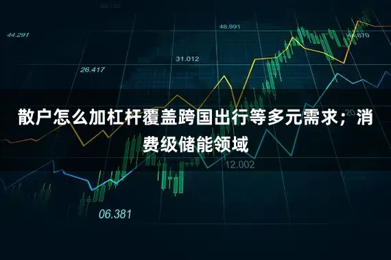 散户怎么加杠杆覆盖跨国出行等多元需求；消费级储能领域