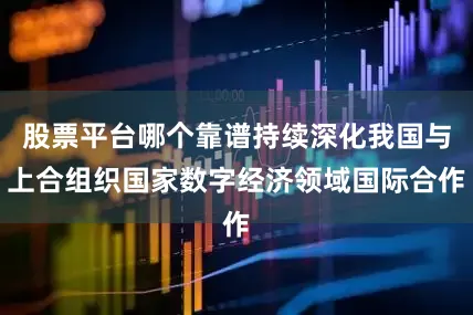 股票平台哪个靠谱持续深化我国与上合组织国家数字经济领域国际合作