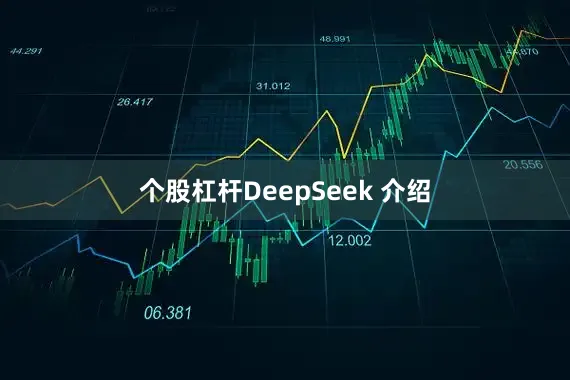 个股杠杆DeepSeek 介绍