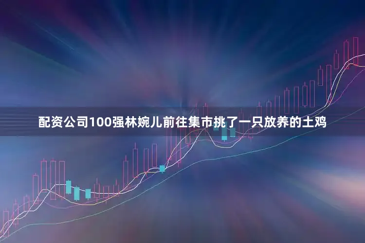 配资公司100强林婉儿前往集市挑了一只放养的土鸡